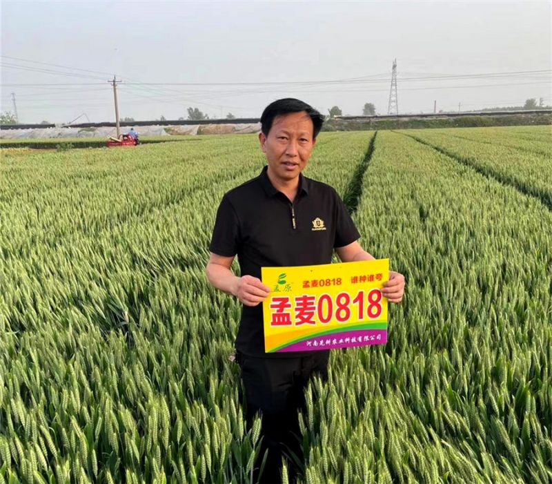 成功案例