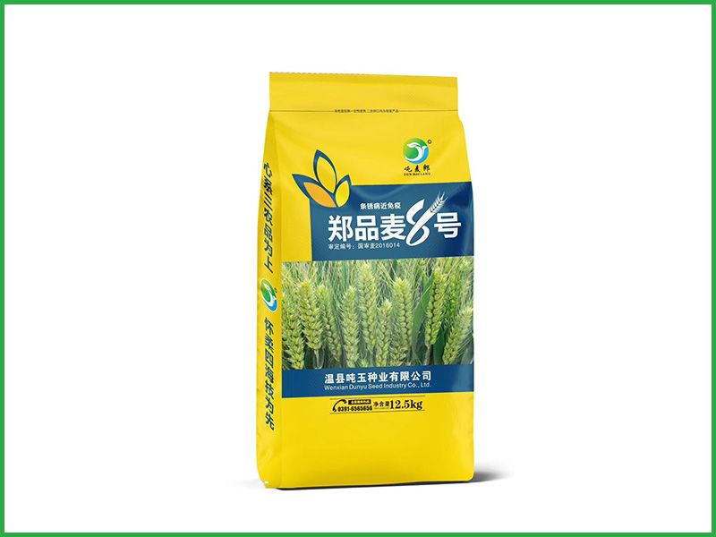 郑品麦8号