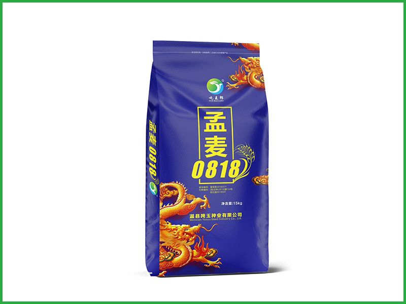 孟麦0818