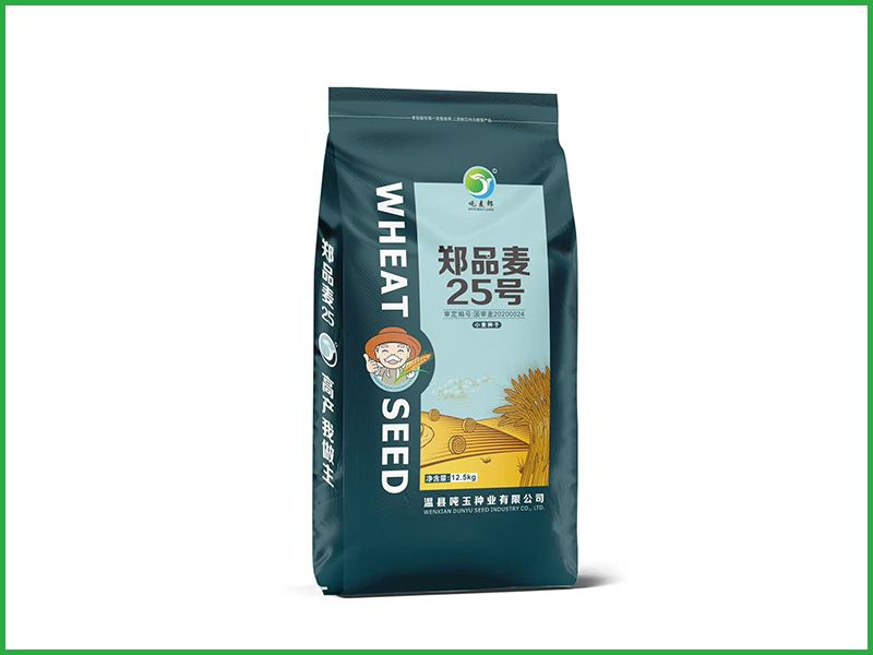 郑品麦25号