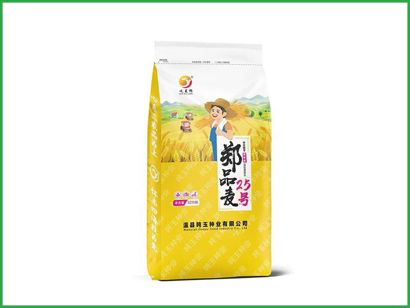 郑品麦25号