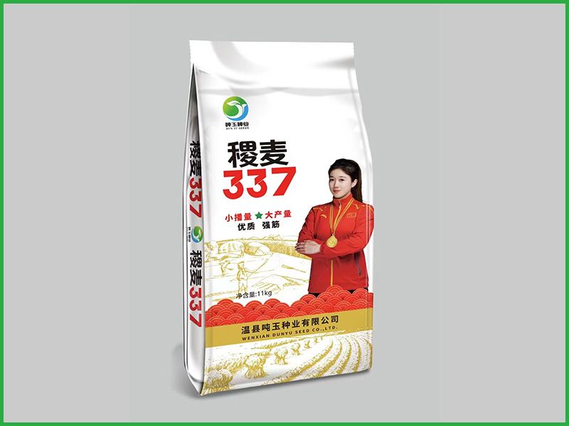 稷麦337