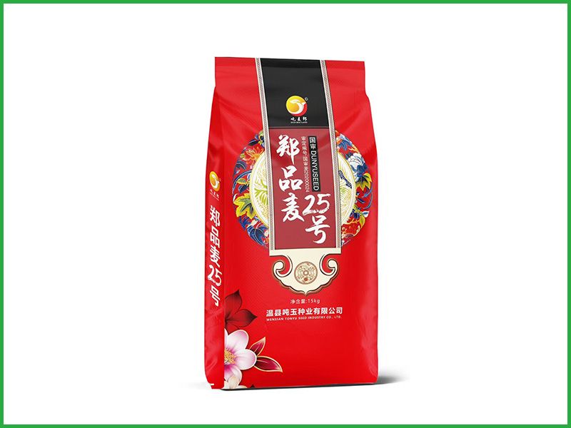 郑品麦25号