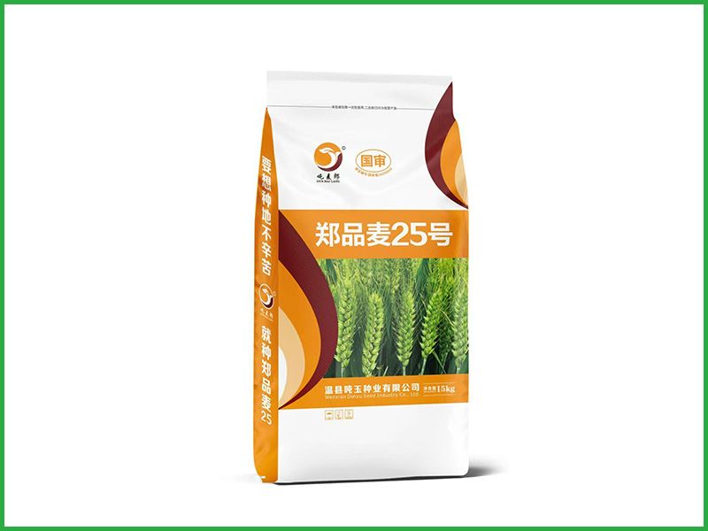 郑品麦25号