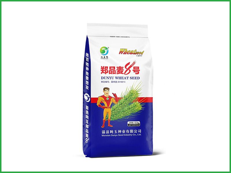郑品麦8号